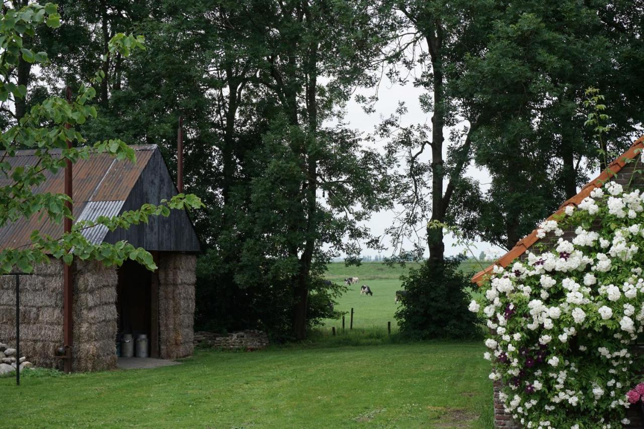 Bed and Breakfast Het Leeuwterveld Sint Jansklooster Exteriér fotografie